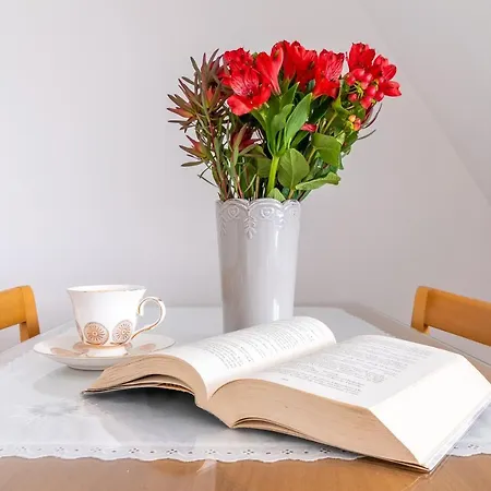 Pansiyon 9 Sil Murowany Dom Bukowina Tatrzańska