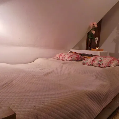 9 Sil Murowany Dom *